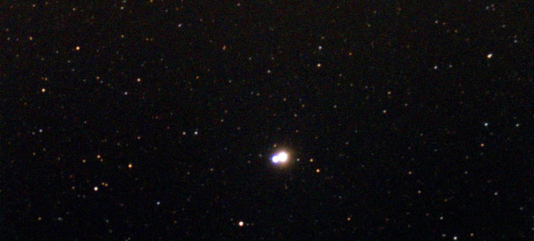 Albireo